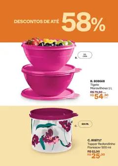Tupperware catálogo Vitrine 04 - Pré-Visualização do folheto da loja Tupperware, válido de 01.04.2026 | Página: 77 | Produtos: Tigela