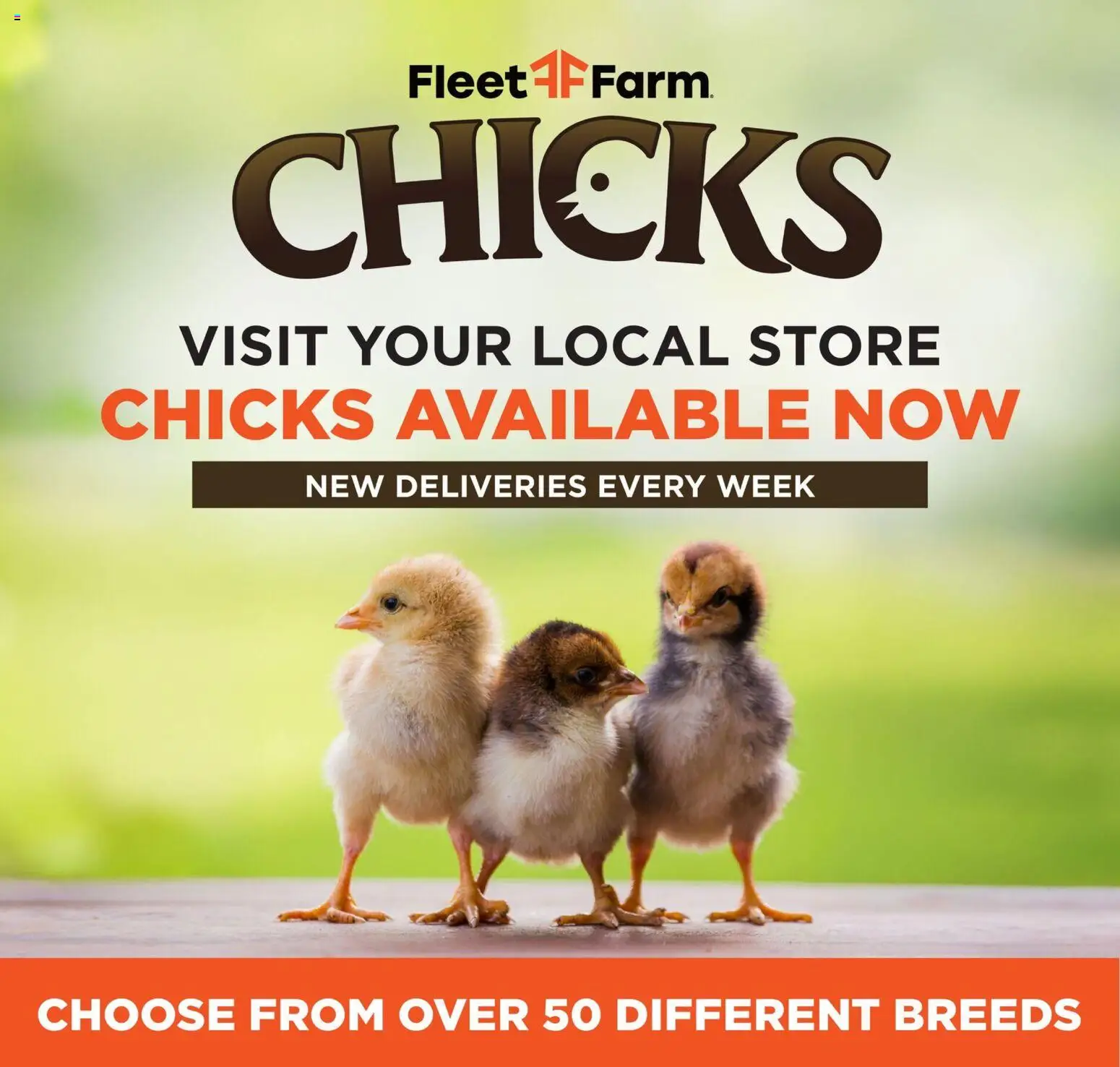 Mills Fleet Farm Weekly Ad - valid from 27.04.2026 | Page: 24