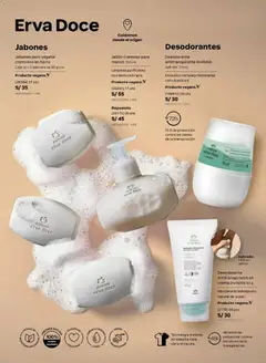 Vista previa de folleto Natura catálogo  - Ciclo 6 de la Natura válido desde 31.03.2026 | Página: 145