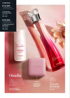 Yanbal catálogo -  Vista previa de la revista de la tienda Yanbal valido desde el 25.04.2026 | Página: 18