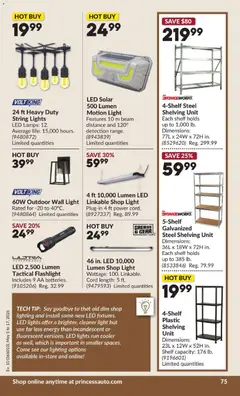 Preview of Princess Auto flyer - 2 Week Sale! from shop Princess Auto valid from 05.05.2026 | Page: 81