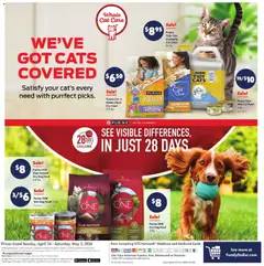 Preview of Family Dollar weekly ads valid from 26.04.2026 | Page: 13