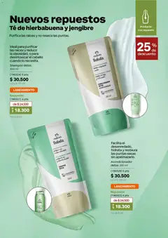 Natura catálogo Ciclo 8 -  Vista previa de la revista de la tienda Natura valido desde el 29.04.2026 | Página: 152 | Productos: Té, Shampoo, Acondicionador