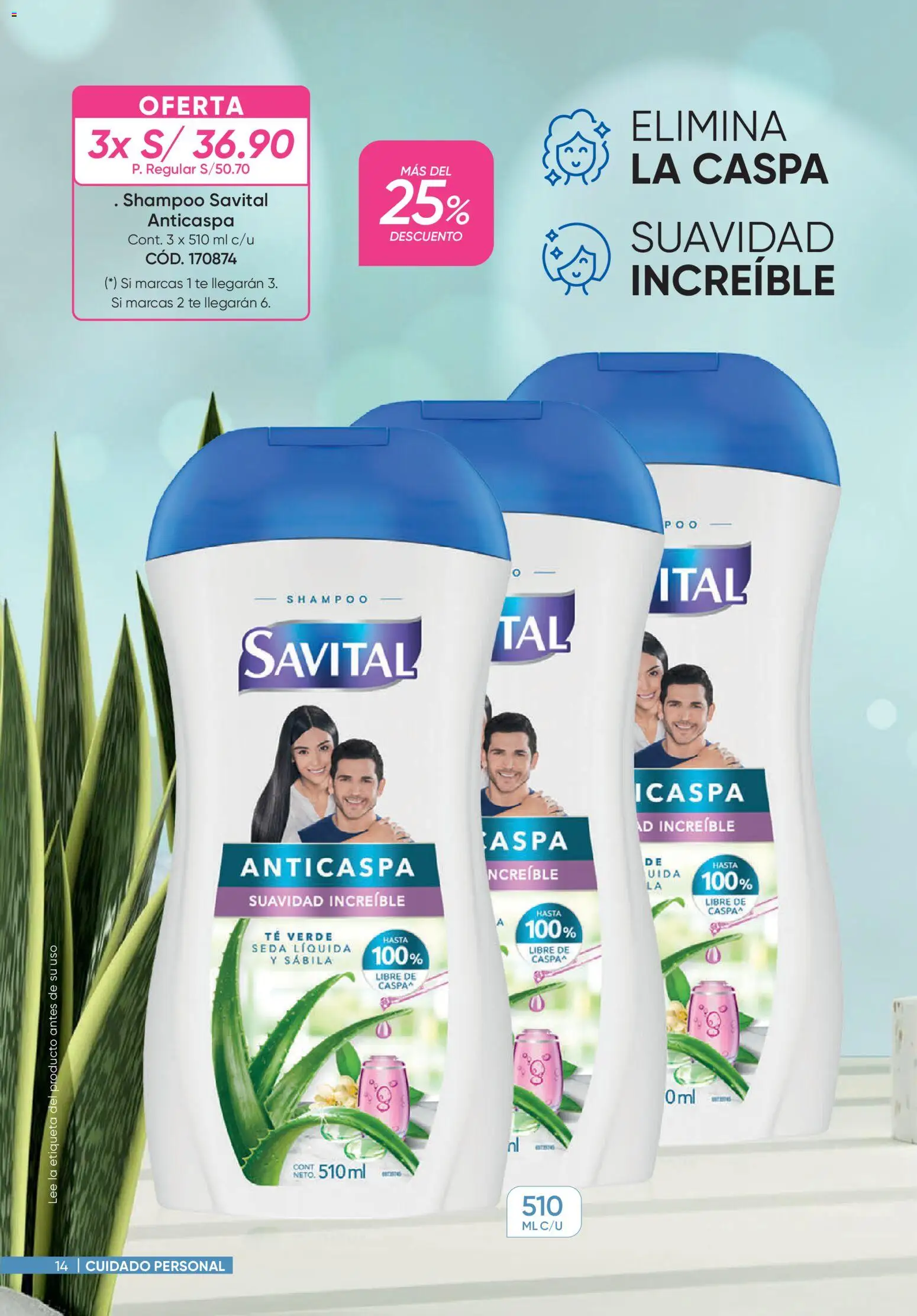 Catálogo Azzorti válido desde 31/08/2026 | Página: 14 | Productos: Shampoo, Té, Té verde