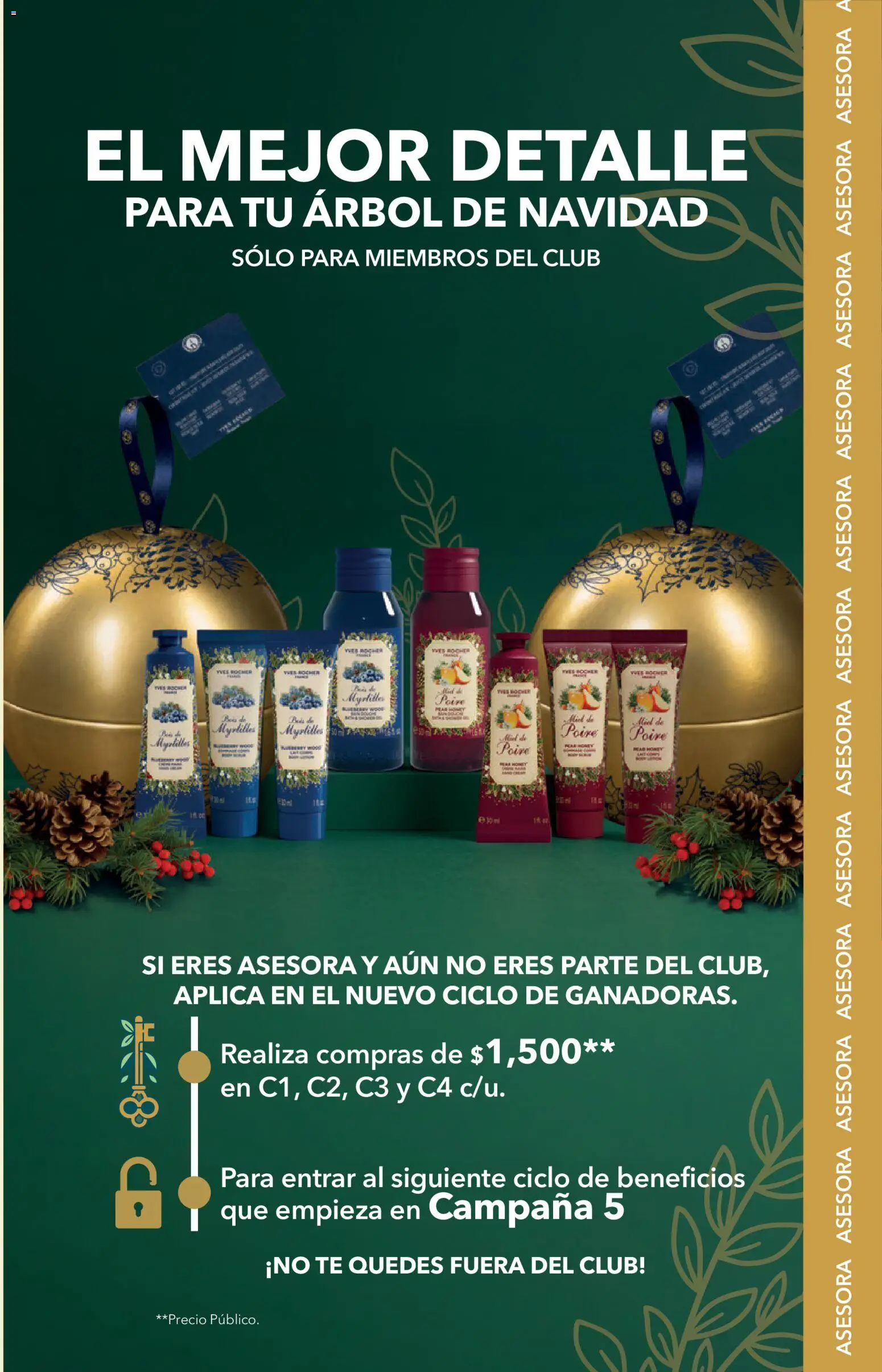 Nuevas ofertas de Yves Rocher válidas en toda la República Mexicana desde el 27/10/2026. ¡Encuentra las mejores ofertas en Yves Rocher campaña 15 2026! | Página: 131
