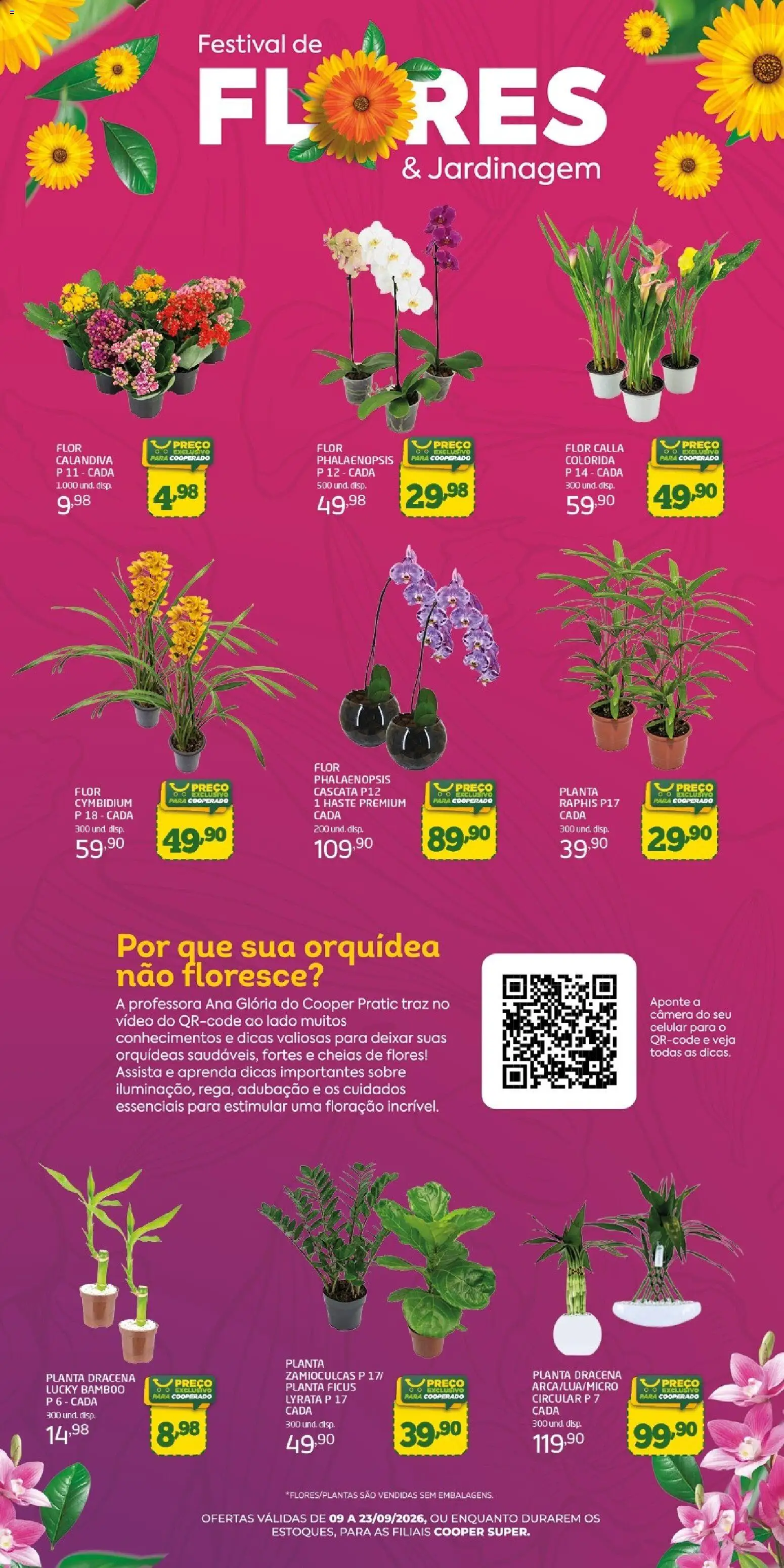 Cooper Folheto - válido de 09/09/2026 | Página: 3 | Produtos: Celular, Orquídea, Flores, Câmera