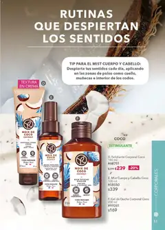 Vista previa de Yves Rocher campaña 6 2026, nuevo folleto de la tienda, válido en México a partir del 21.04.2026 | Página: 51 | Productos: Crema, Exfoliante corporal, Body, Gel de ducha