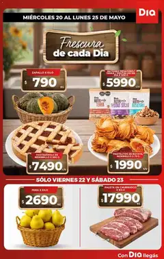 Vista previa Supermercado DIA Ofertas válido desde el 20.05.2026 | Página: 28 | Productos: Zapallo, Pera, Paleta