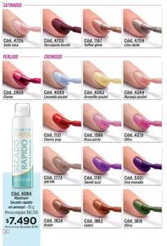 Vista previa Amodil - Campaña 11 válido desde el 01.07.2026 | Página: 26 | Productos: Uva
