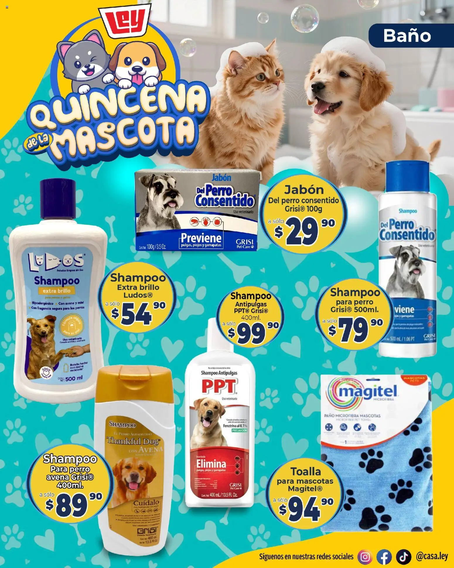 Nuevas ofertas de Casa Ley válidas en toda la República Mexicana desde el 29/06/2026. ¡Encuentra las mejores ofertas en Casa Ley folleto Quincena de la mascota Frontera! | Página: 4 | Productos: Brillo, Insecticida, Botella, Fragancia