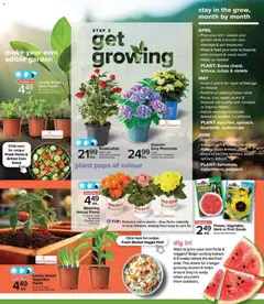 Preview of Metro Garden Centre Flyer - Alma from shop Metro valid from 23.04.2026 | Page: 3 | Products: Salad