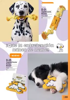 Lady Genny Ofertas válido desde el 30.08.2026 | Página: 211 | Productos: Mostaza, Cuerda