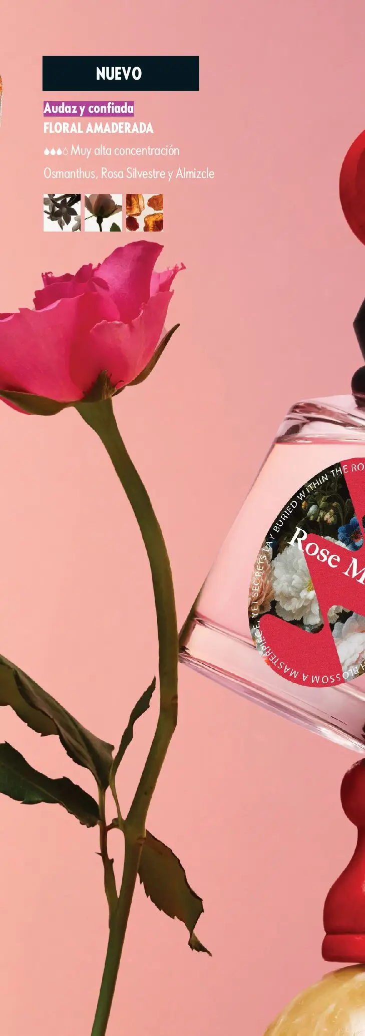 Nuevas ofertas de Oriflame válidas en toda la República Mexicana desde el 09.05.2026. ¡Encuentra las mejores ofertas en Oriflame campaña 7 2026! | Página: 12 | Productos: Agua, Delineador