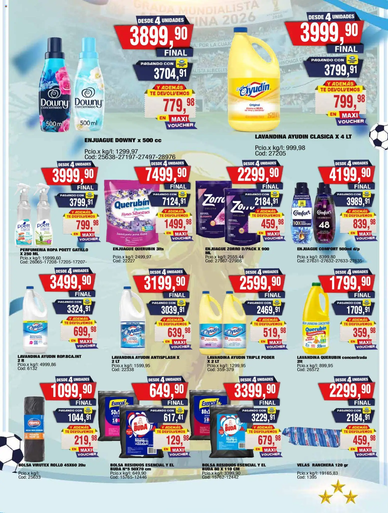 Maxiconsumo ofertas │ válido desde el 15.06.2026 | Página: 24 | Productos: Lavandina, Sal, Ropa, Té
