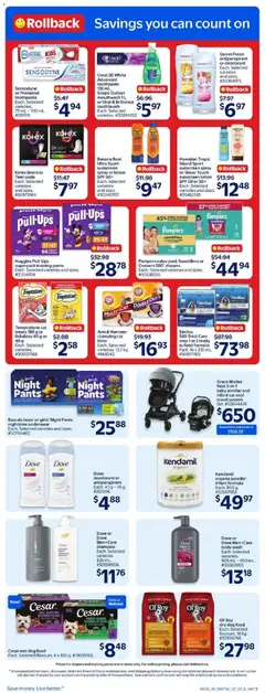 Preview of Cesar wet dog food, Pack. Selected flavours. 6 x 100 g. #51095166. from shop Walmart valid from Jul 23, 2026 | Page: 7