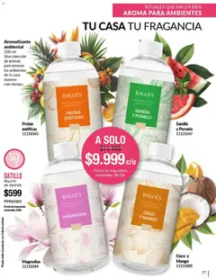 Vista previa Bagués - Catálogo válido desde el 04.05.2026 | Página: 77 | Productos: Sandía, Fragancia, Mango, Pomelo