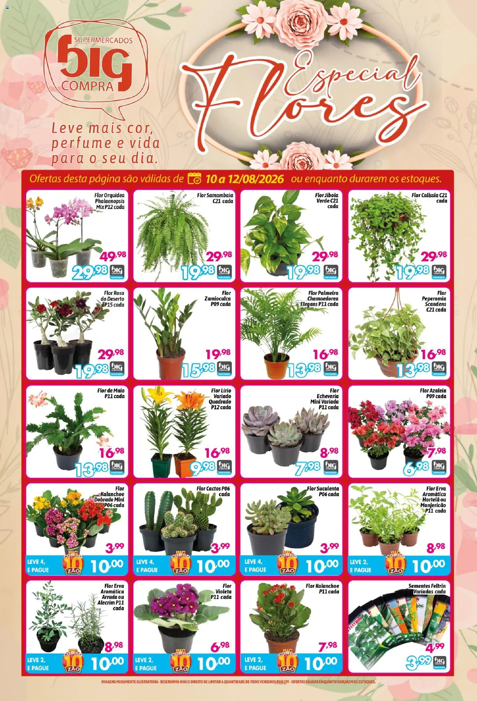 Big Compra Folheto - válido de 10/08/2026 | Página: 1 | Produtos: Hortelã, Perfume, Maiô, Flores