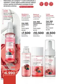 Vista previa Catálogo Amodil Campaña 12 válido desde el 30/06/2026 | Página: 10