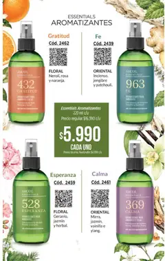 Vista previa Catálogo Amodil Campaña 17 válido desde el 01/10/2026 | Página: 154 | Productos: Vainilla, Jengibre
