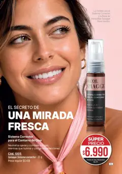 Vista previa Catálogo Amodil Campaña 15 válido desde el 26/08/2026 | Página: 33