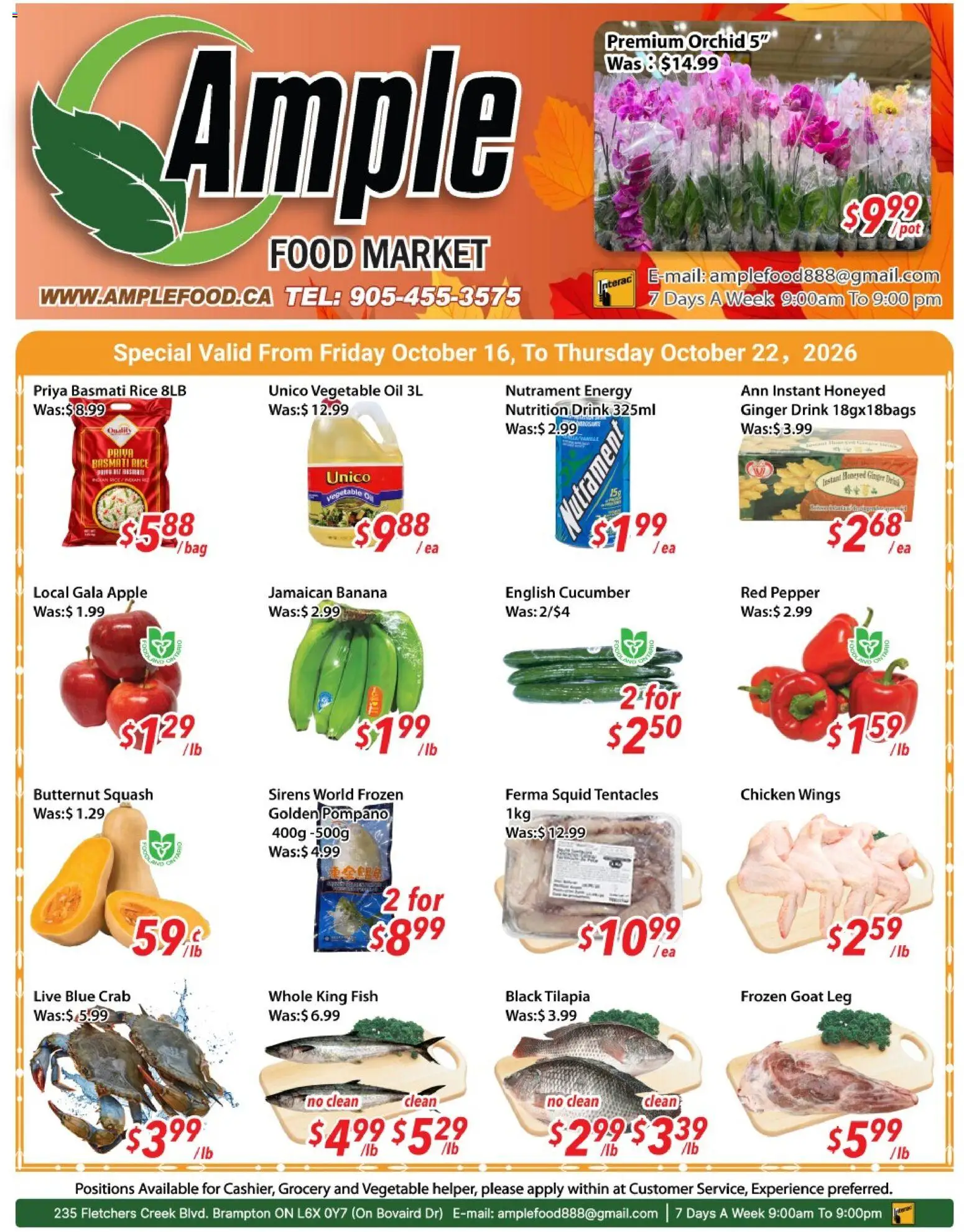 Ample Food Market flyer valid from Oct 16, 2026 | Page: 1