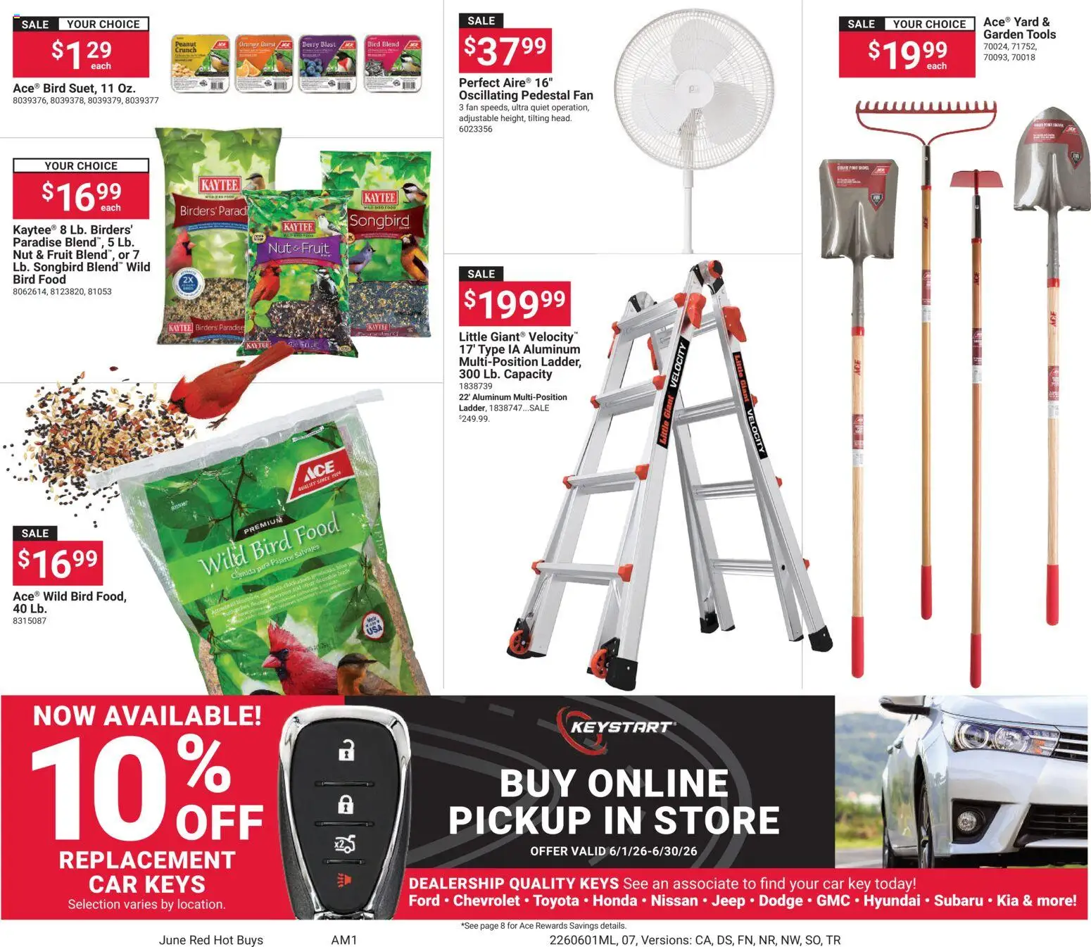 ACE Hardware Weekly Ad - valid from 01.06.2026 | Page: 7
