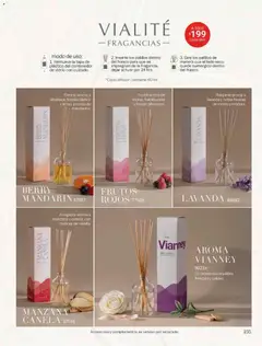 Vista previa de Vianney catálogo, nuevo folleto de la tienda, válido en México a partir del 17/08/2026 | Página: 157 | Productos: Frasco, Manzana, Fresas, Contenedor