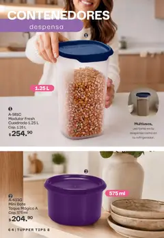 Vista previa de Tupperware catálogo, nuevo folleto de la tienda, válido en México a partir del 13/07/2026 | Página: 64 | Productos: Tupper, Modular, Despensa
