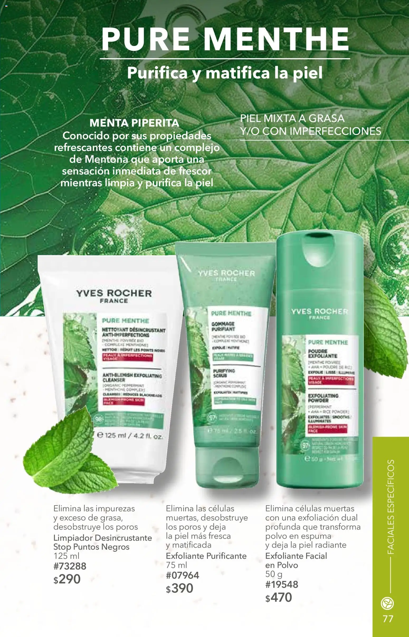 Nuevas ofertas de Yves Rocher válidas en toda la República Mexicana desde el 06/10/2026. ¡Encuentra las mejores ofertas en Yves Rocher campaña 14 2026! | Página: 79 | Productos: Exfoliante facial, Espuma, Radiante, Polvo
