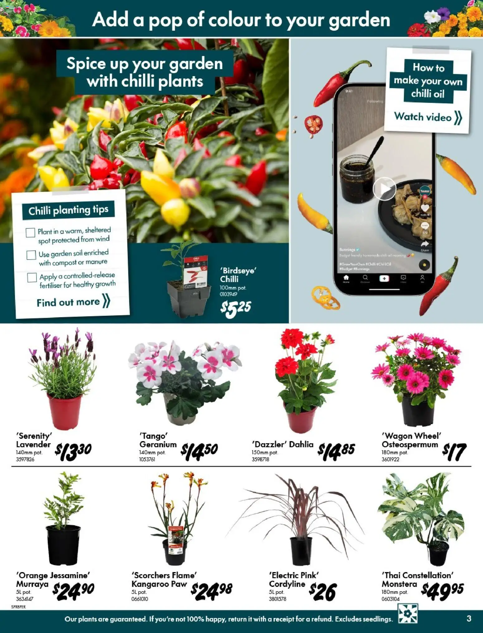 Bunnings Warehouse catalogue - valid from 09/09/2026 | Page: 3 | Products: Plant, Oil, Chilli, Watch