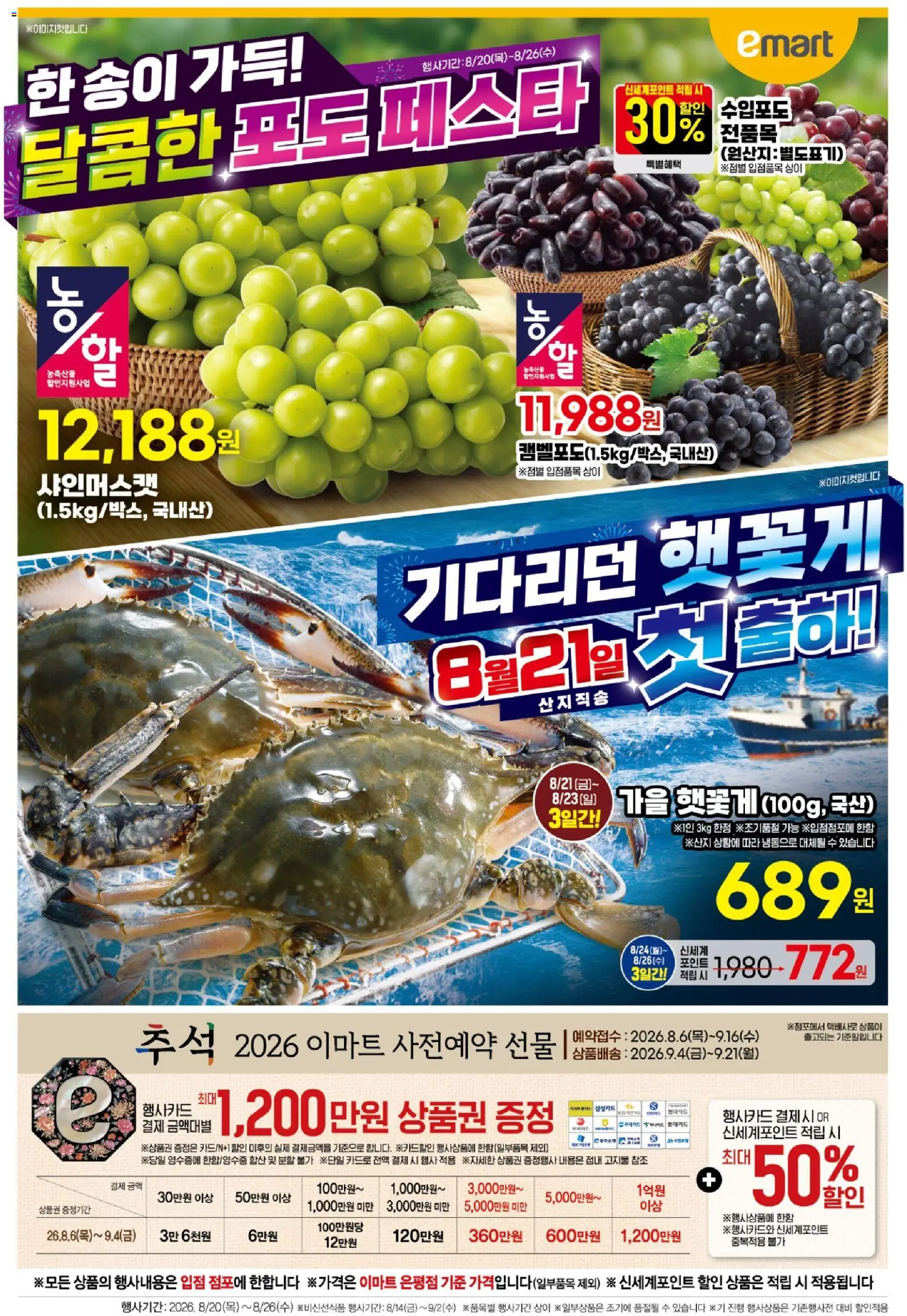 {H1}-2026/08/20부터 유효 | 페이지: 1 | 상품: 포도