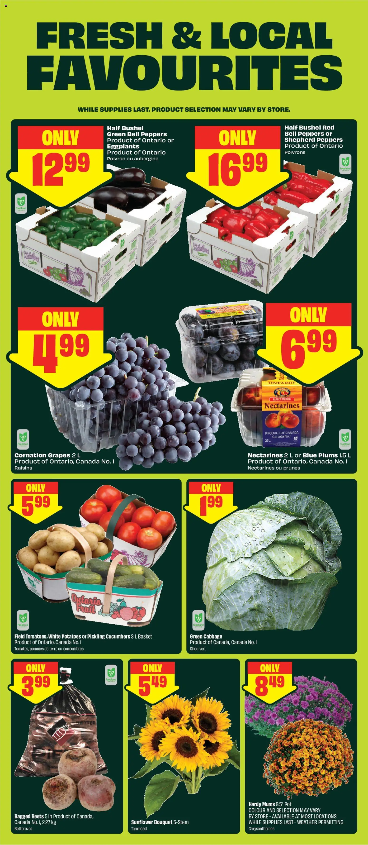 FreshCo flyer valid from Aug 27, 2026 | Page: 5