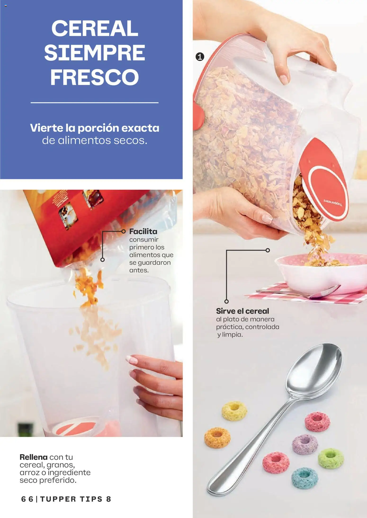 Catálogo TUPPERWARE 2026 PDF - 13/07 — page 65