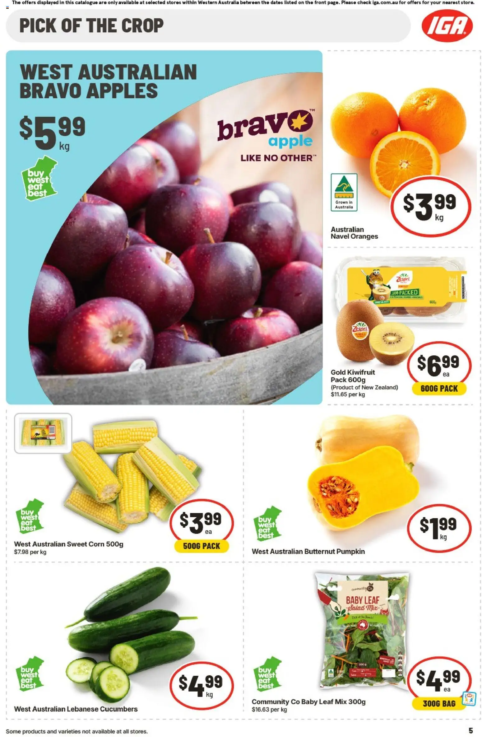 IGA catalogue - valid from 05/08/2026 | Page: 5