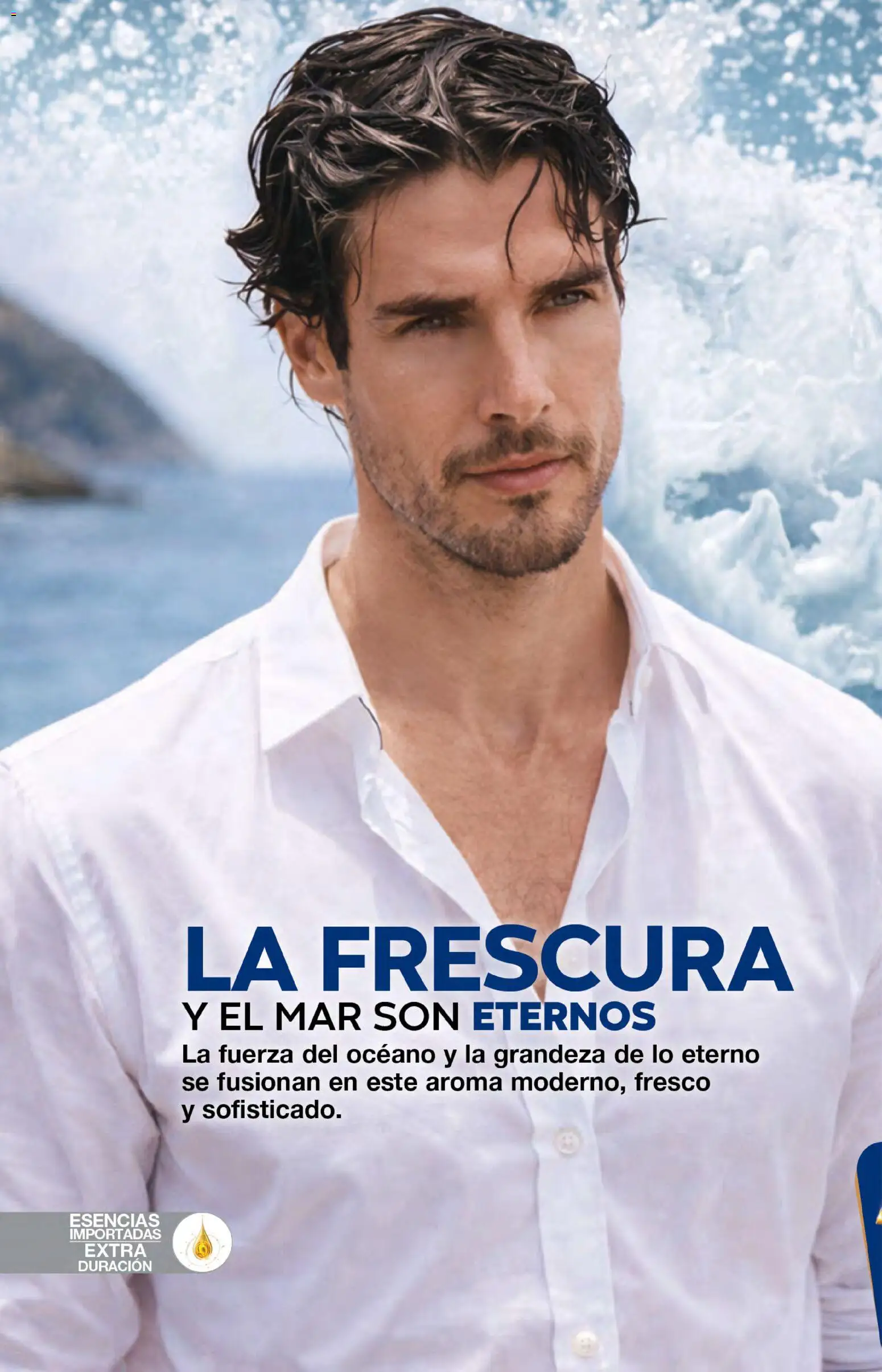 Nuevas ofertas de Fuller válidas en toda la República Mexicana desde el 05/08/2026. ¡Encuentra las mejores ofertas en Fuller campaña 9 2026! | Página: 12 | Productos: Esencias