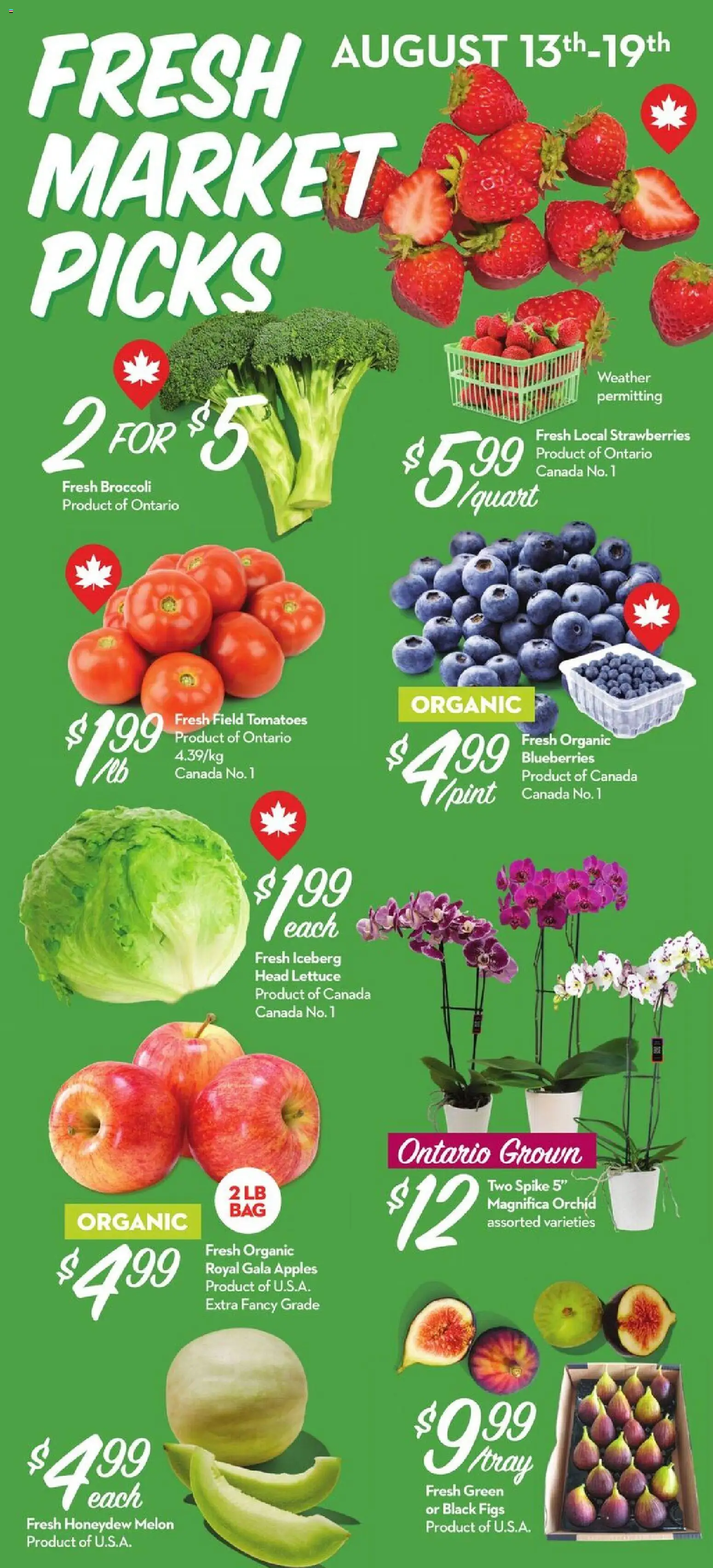 Longo's flyer valid from Aug 13, 2026 | Page: 2 | Products: Strawberries, Blueberries, Broccoli, Tomatoes