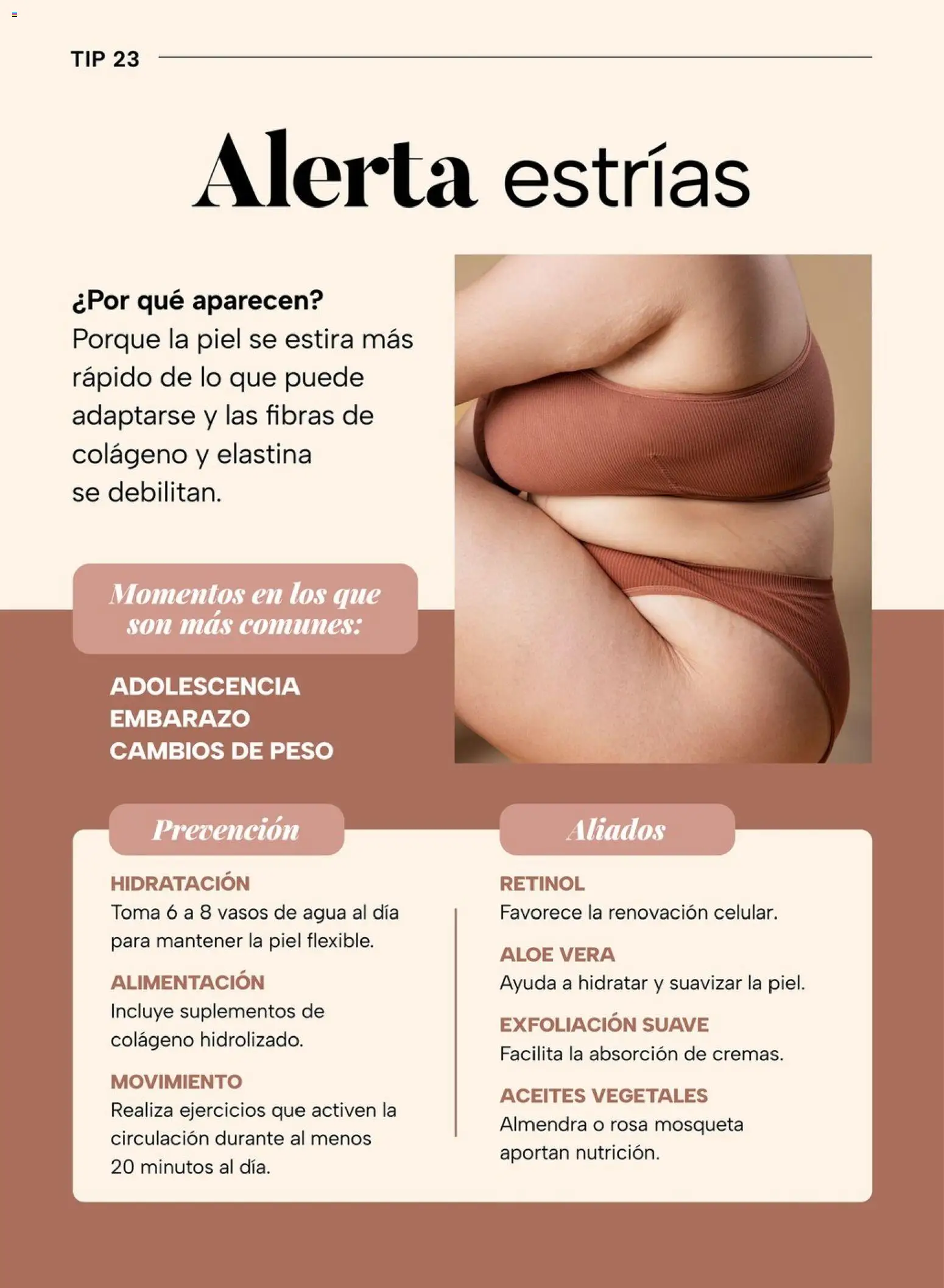 Nuevas ofertas de Chedraui válidas en toda la República Mexicana desde el 04.05.2026. ¡Encuentra las mejores ofertas en Chedraui folleto! | Página: 50 | Productos: Agua, Almendra, Vasos