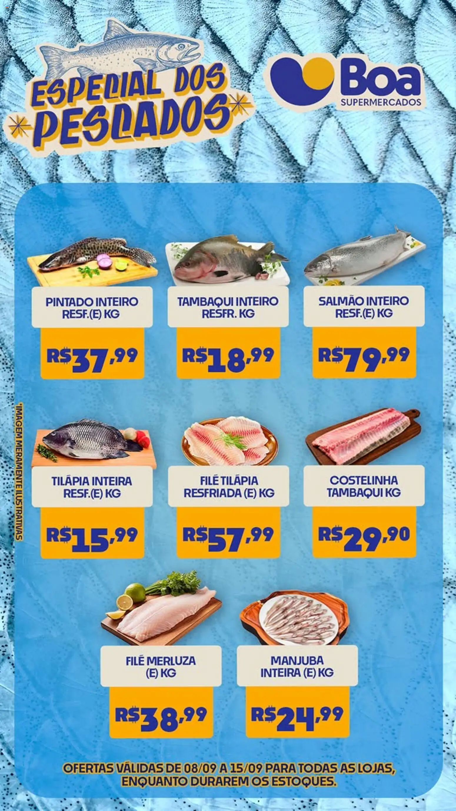 Boa Supermercados Folheto - válido de 08/09/2026 | Página: 1 | Produtos: Salmão, Tilápia