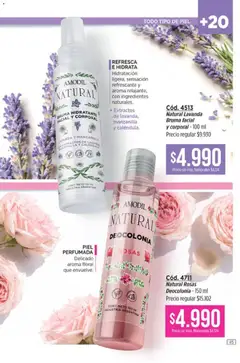Vista previa Catálogo Amodil Campaña 16 válido desde el 19/09/2026 | Página: 45 | Productos: Ingredientes, Bruma