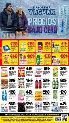 Vista previa Yaguar - Oferta Semanal Trelew válido desde el 27/07/2026