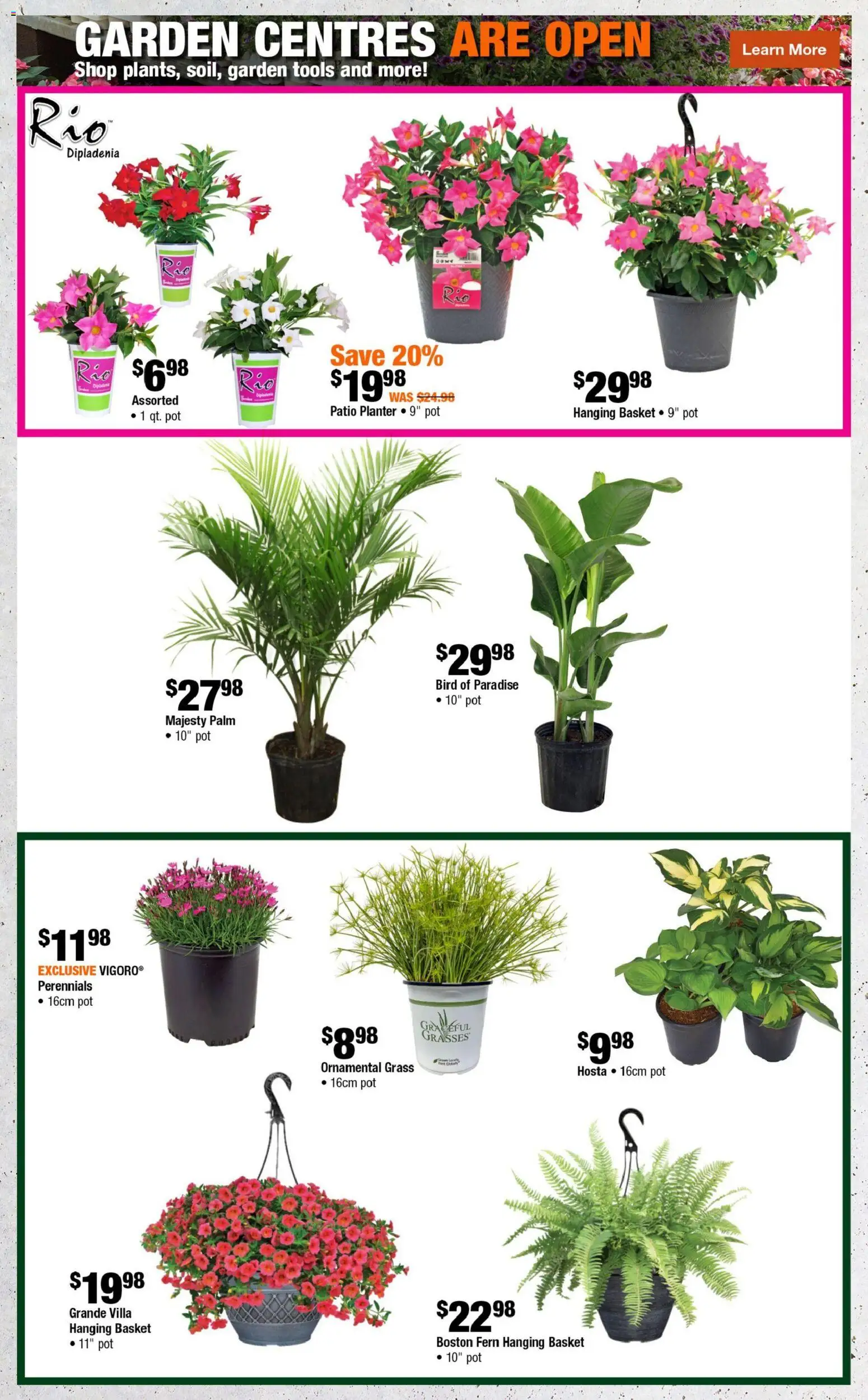 Home Depot flyer valid from 28.05.2026 | Page: 3 | Products: Basket