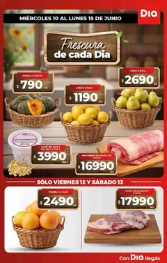 Vista previa Supermercado DIA Ofertas válido desde el 10.06.2026 | Página: 7 | Productos: Zapallo, Pera, Mani, Pomelo