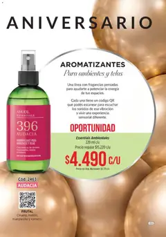 Vista previa Amodil - Campaña 10 válido desde el 01.06.2026 | Página: 155 | Productos: Melón