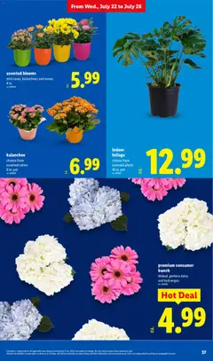 Preview of Lidl weekly ads valid from 07/22/2026 | Page: 37 | Products: Bag