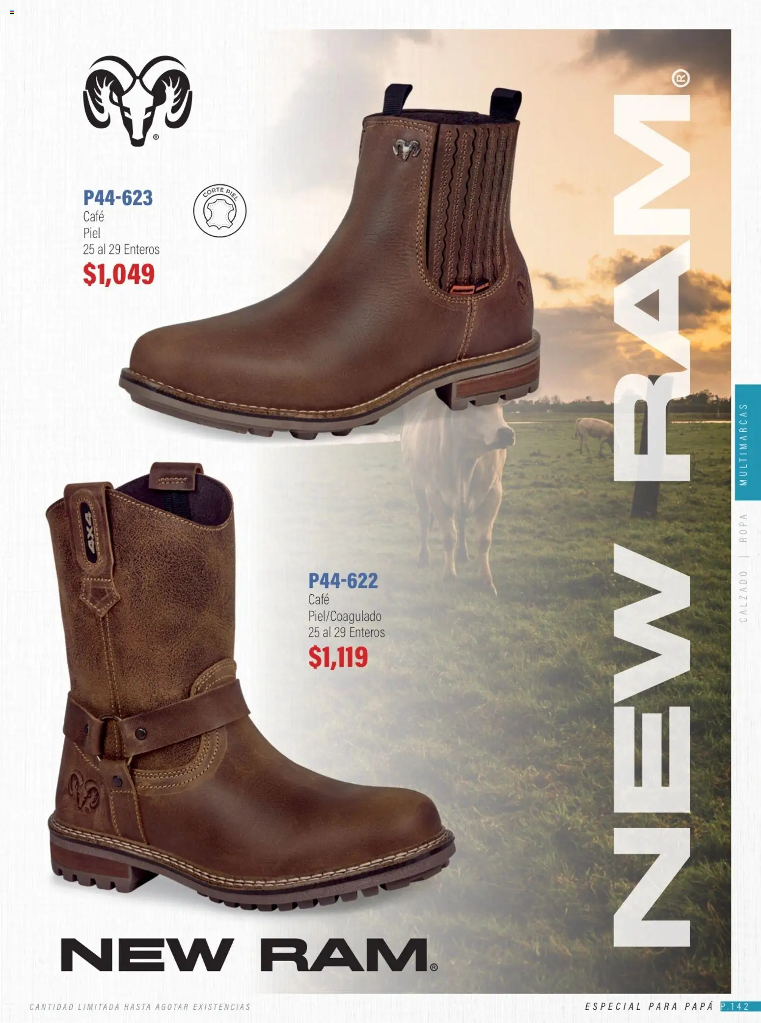 CKLASS ofertas de 15/06 — page 142