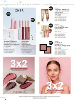 Vista previa Pigmento catálogo válido desde el 02.06.2026 | Página: 14 | Productos: Iluminador, Rubor, Brillo, Bálsamo