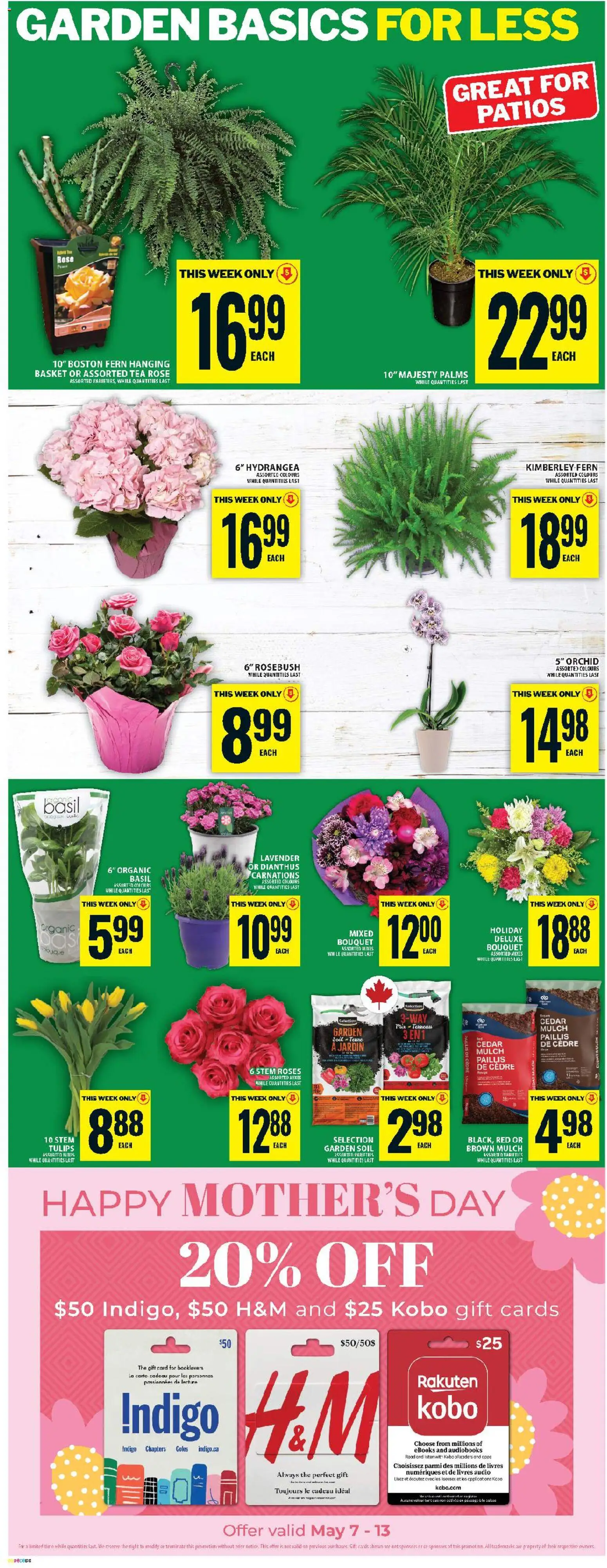 Food Basics flyer valid from 07.05.2026 | Page: 10 | Products: Tea, Audio, Basket