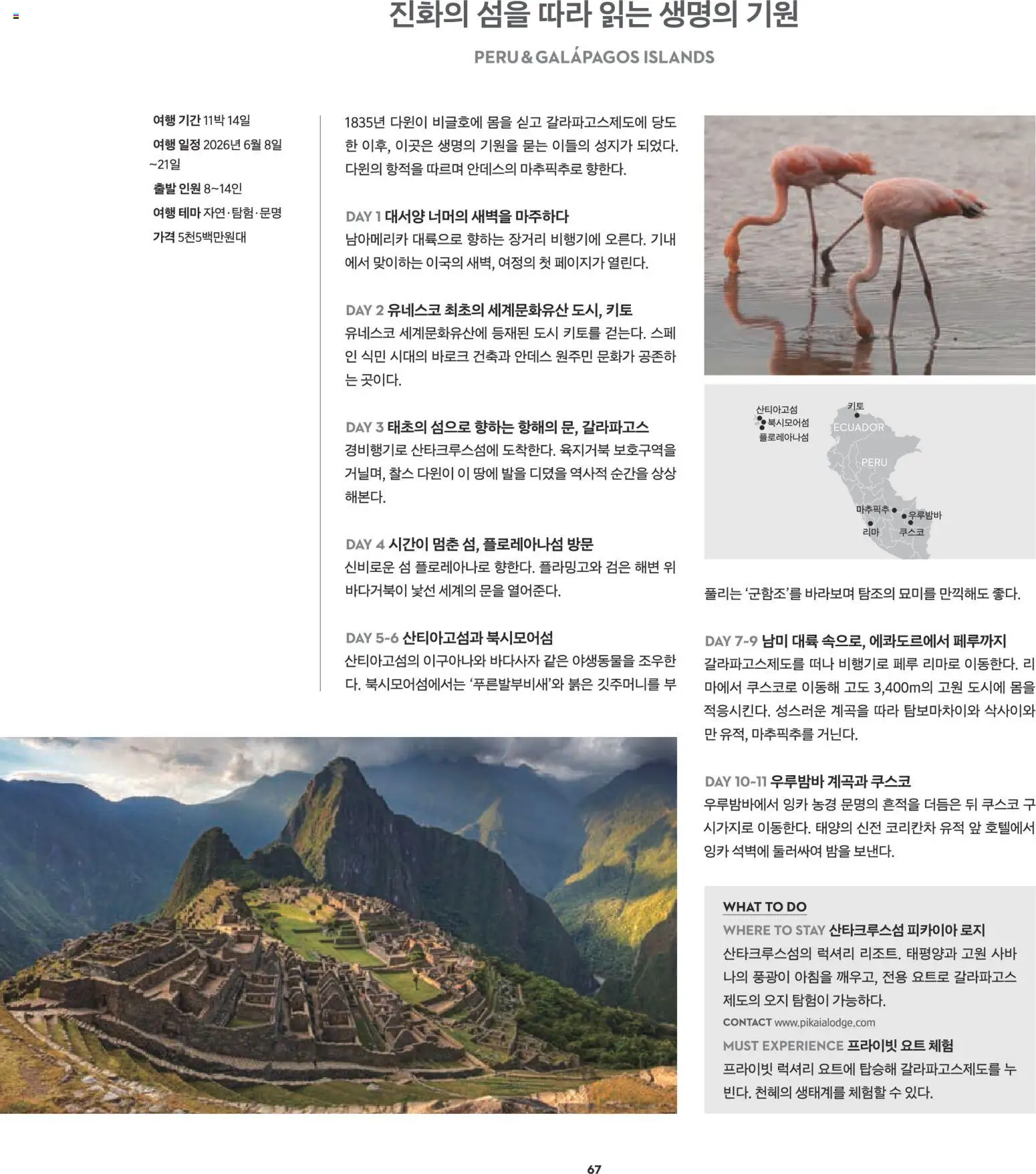  | 페이지: 53