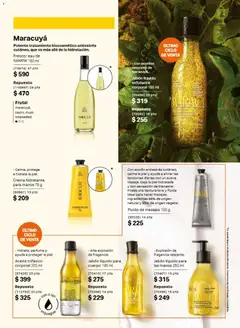 Vista previa de Natura campaña 13 2026, nuevo folleto de la tienda, válido en México a partir del 21/08/2026 | Página: 101