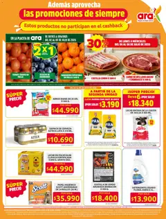 Ara - Ahorra con precios bajos y ofertas en la canasta familiar | ara -  Vista previa de la revista de la tienda Ara valido desde el 11/06/2026 | Página: 20 | Productos: Arándanos, Leche en polvo, Sobre, Cerveza